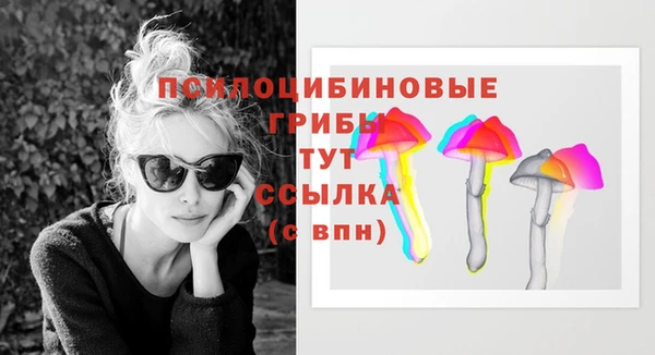гашик Зеленодольск