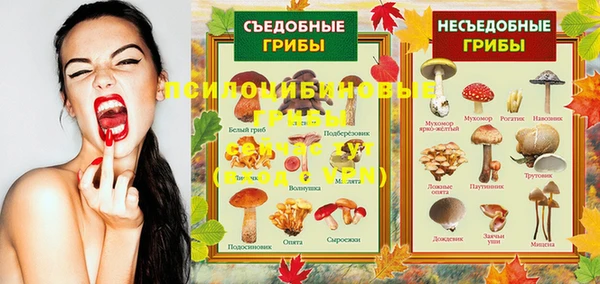 гашик Зеленодольск